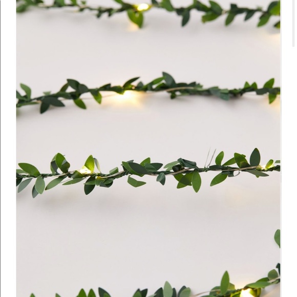 Vine String lights (NWOT) - Picture 6 of 6